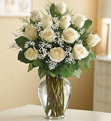 Long Stem White Roses Flower Power, Florist Davenport FL